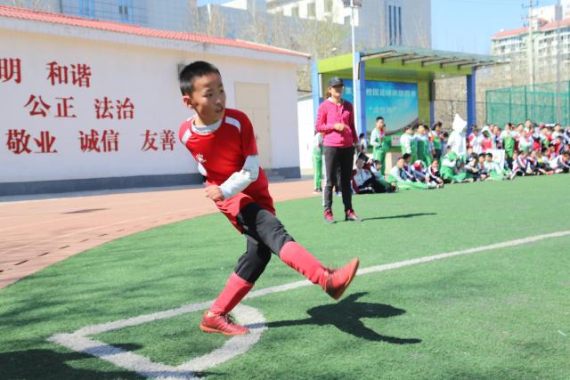 完美体育，WMsports，完美体育官方，完美体育平台，完美体育下载手机版